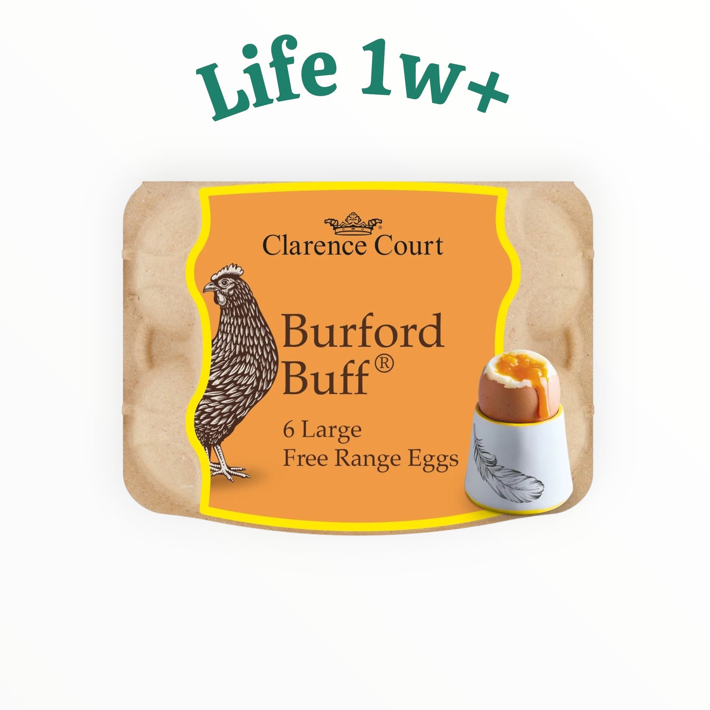 Clarence Court Burford Buff 6 Large Free Range Eggs 鸡蛋 周三/周五